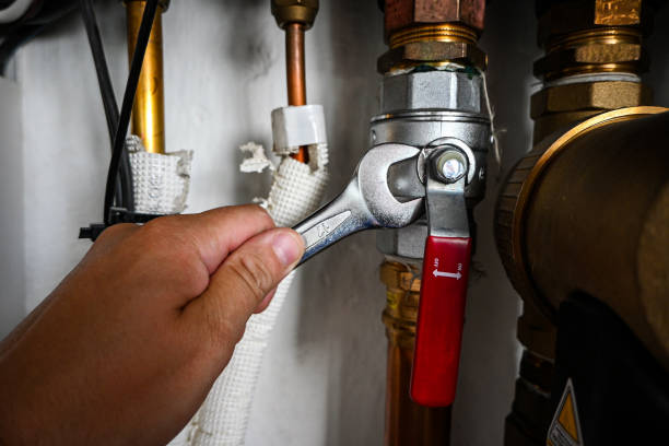 Best Plumbing Inspection Services  in Town And Country, MO